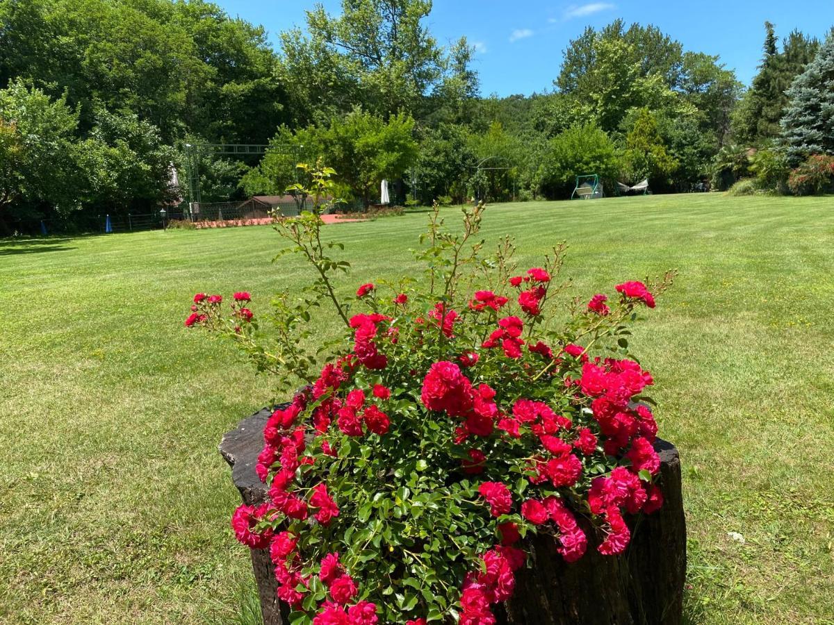 Sarikonaklar Garden Village Ağva Dış mekan fotoğraf