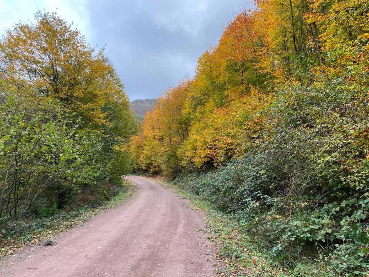 Sarikonaklar Garden Village Ağva Dış mekan fotoğraf