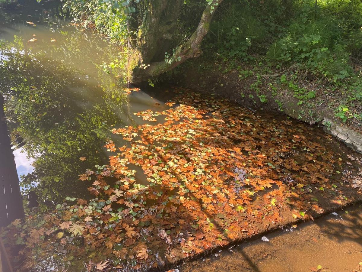 Sarikonaklar Garden Village Ağva Dış mekan fotoğraf